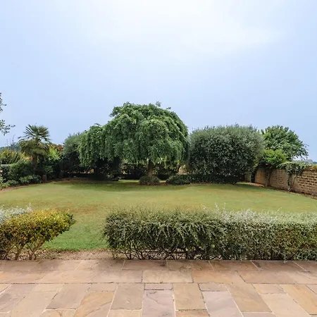 Italian Experience- Cyca