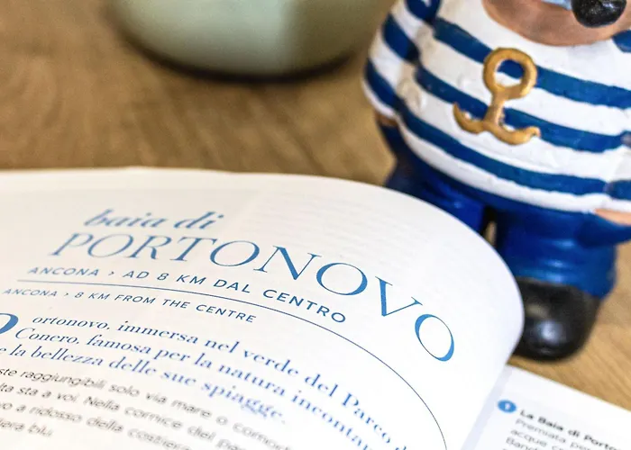 Italian Experience- Cyca *