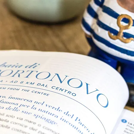 Italian Experience- Cyca *